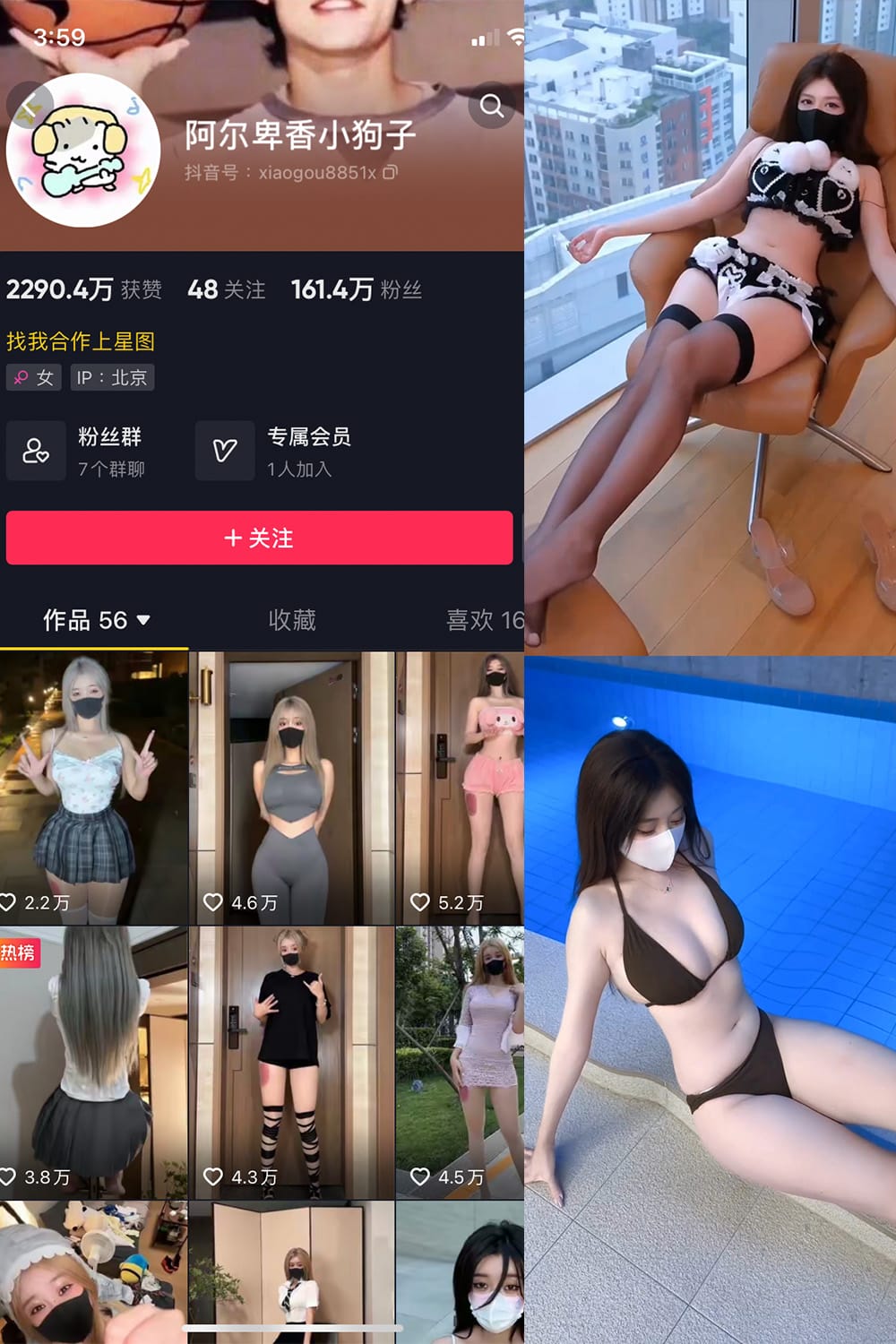 阿尔卑香小狗子「午夜投影」写真集:清新治愈与都市酷感的完美融合